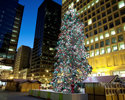 Spending the holiday season in Chicago? Here’s what to do